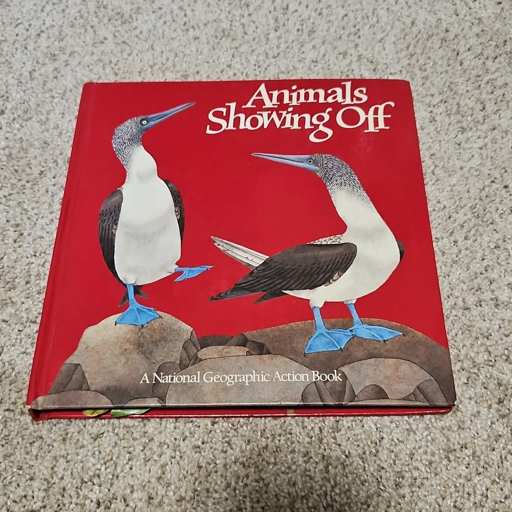 Children's Book Set - Animals Showing Off & Out of the Box Learning And Craft